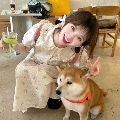 我的女官大人